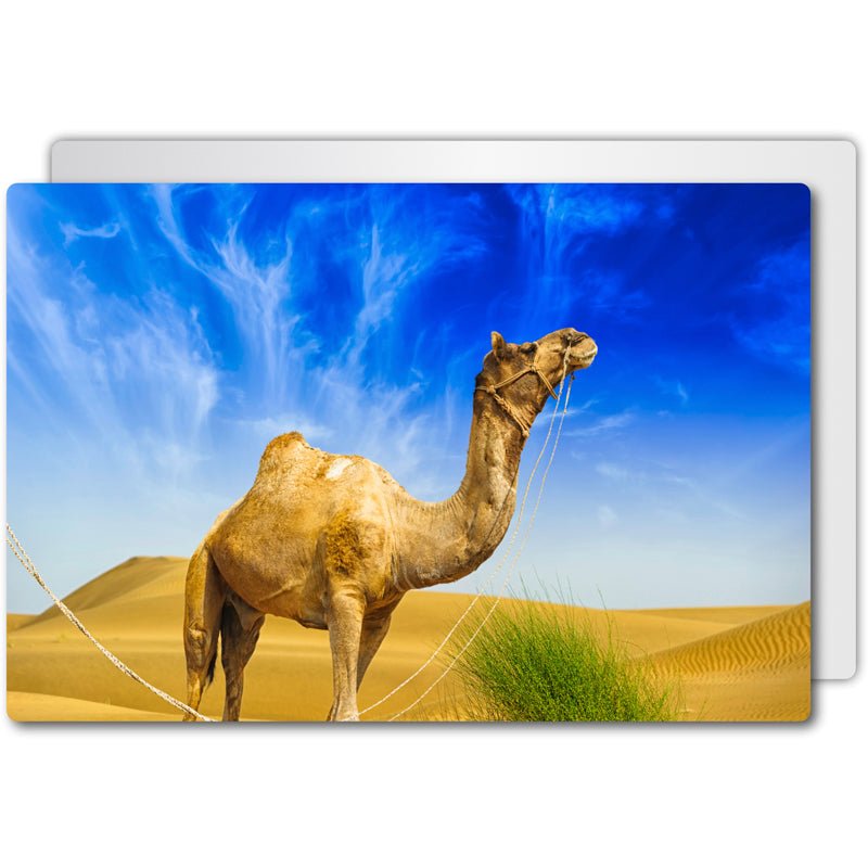 ChromaLuxe® Alu - Fototafel weiß glänzend, 200 x 300 mm - Drucksaal