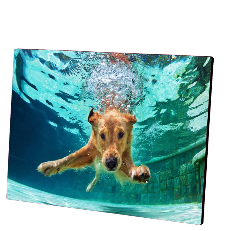 Hartfaser Fotopaneele Querformat - Drucksaal