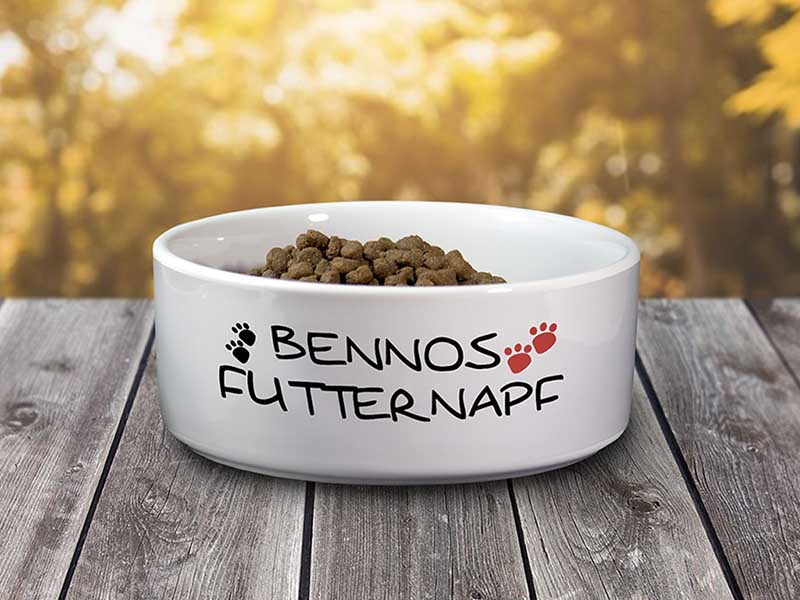 Futternapf aus der Kategorie Hund und Katz
