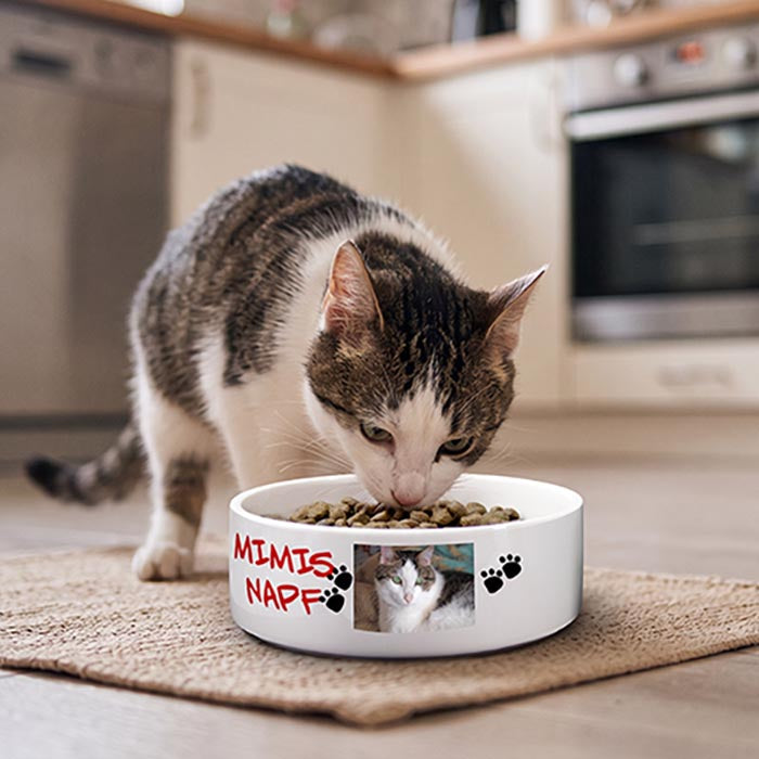 Katzennapf bedrucken und personalisieren.