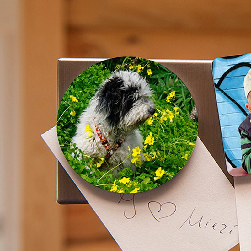 Runder Kühlschrankmagnet ø 63 mm - Drucksaal