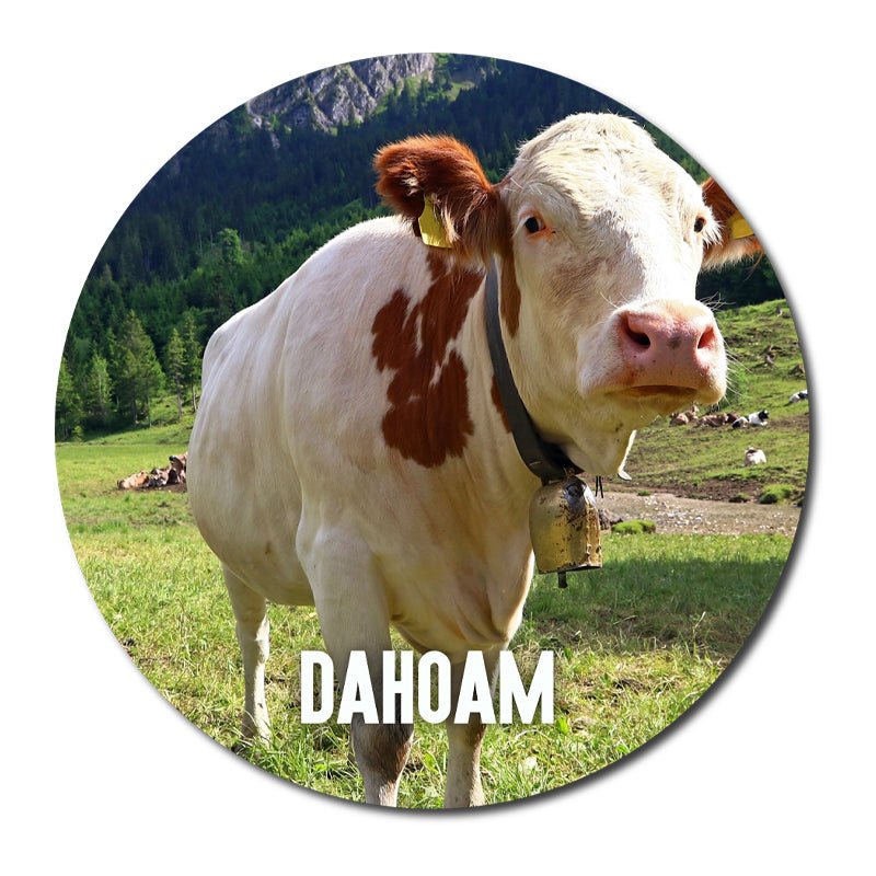 Runder Magnetsticker ø 55 mm. Randloser Druck - Drucksaal