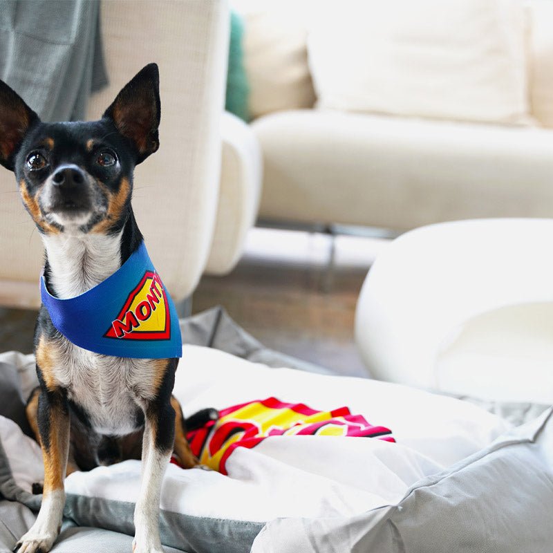 Tierbett grau mit bedruckbarem Kissen in weiß - Drucksaal